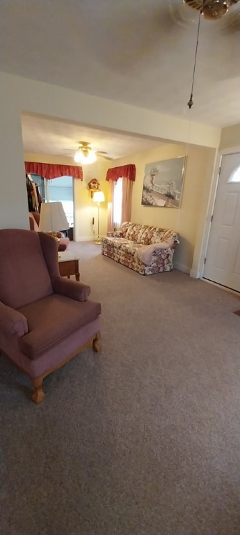 living room with carpet flooring