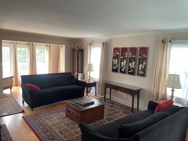 living room featuring ornamental molding and wood-type flooring