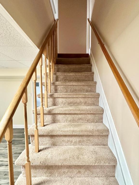 stairs featuring hardwood / wood-style flooring and a drop ceiling