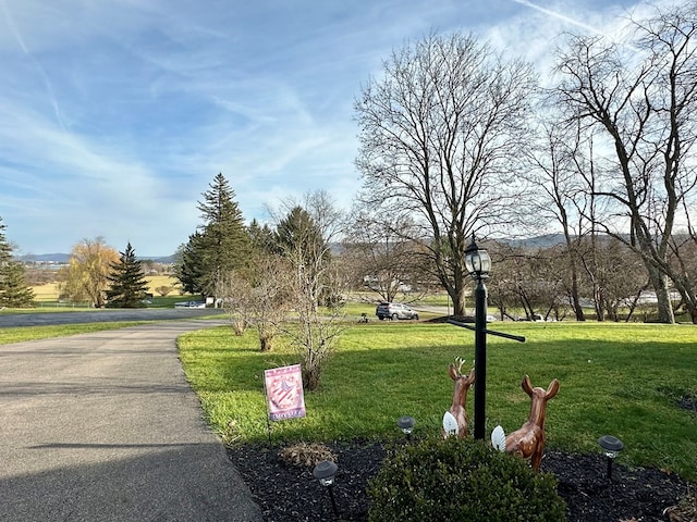 view of property's community with a yard