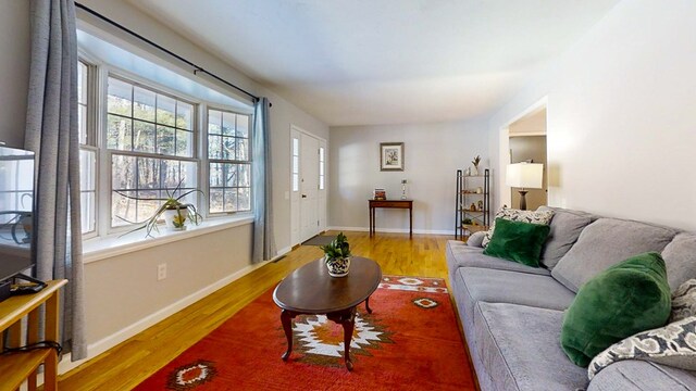 living room featuring hardwood / wood-style flooring