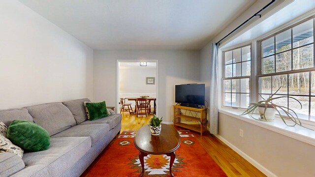 living room featuring hardwood / wood-style floors