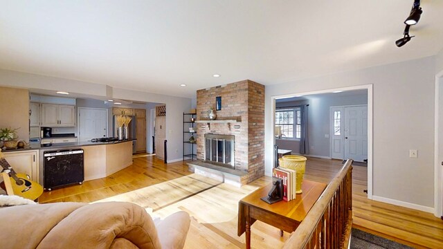 living room featuring rail lighting, a fireplace, and light wood-type flooring