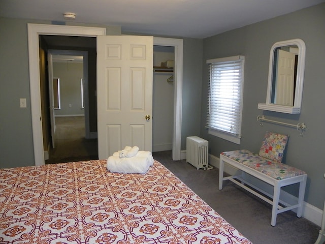 bedroom featuring radiator heating unit and a closet