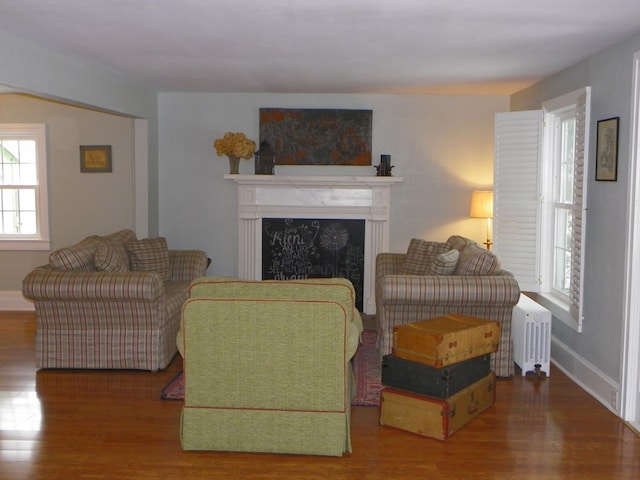 living room featuring hardwood / wood-style flooring and radiator heating unit