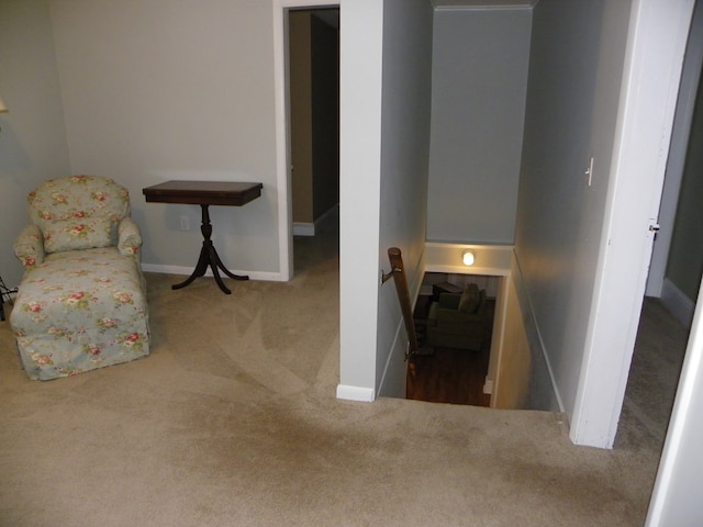 living area featuring carpet