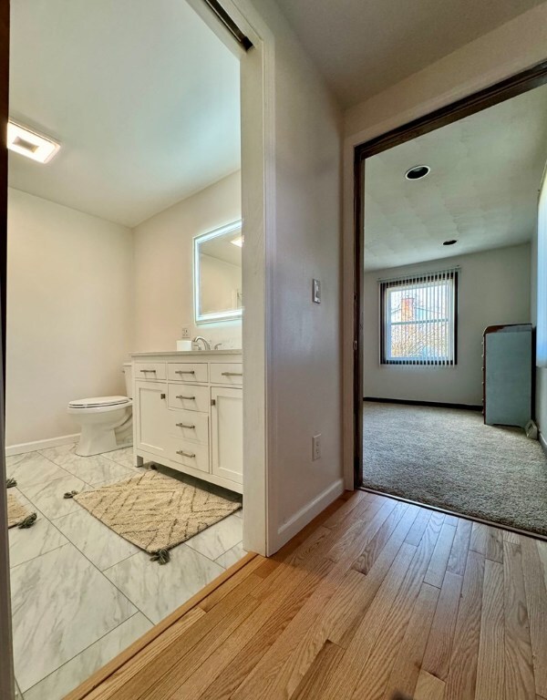 bathroom with vanity, wood-type flooring, and toilet