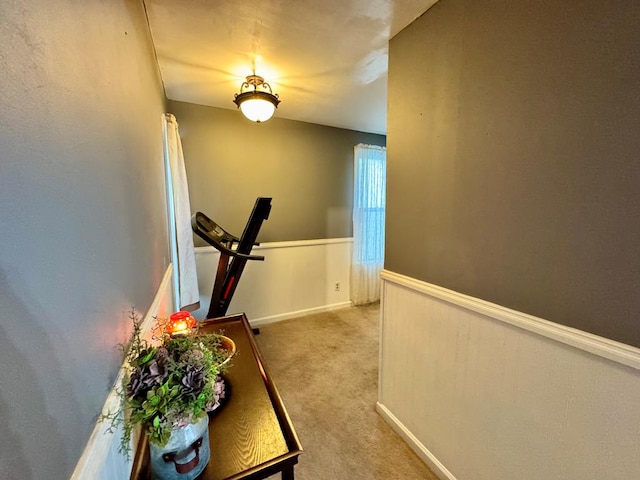 hallway featuring light carpet