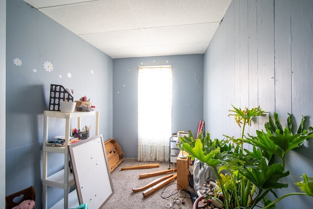 interior space featuring carpet and a drop ceiling