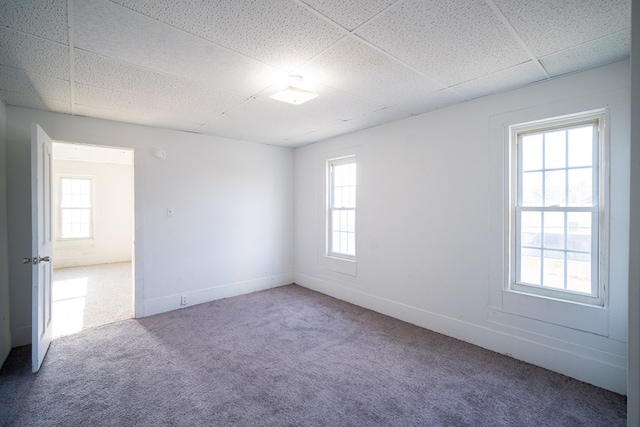 unfurnished room featuring carpet and a drop ceiling