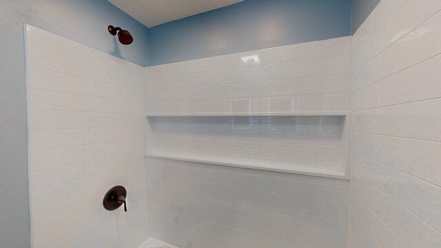 room details with tiled shower