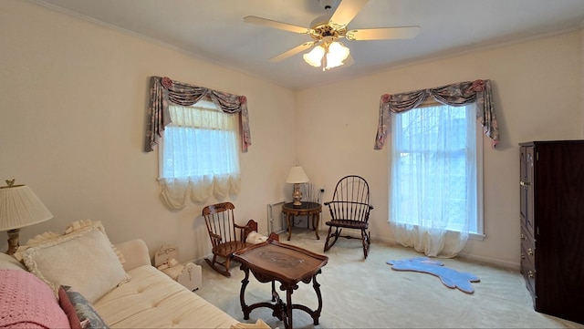 living area featuring crown molding, ceiling fan, and carpet floors