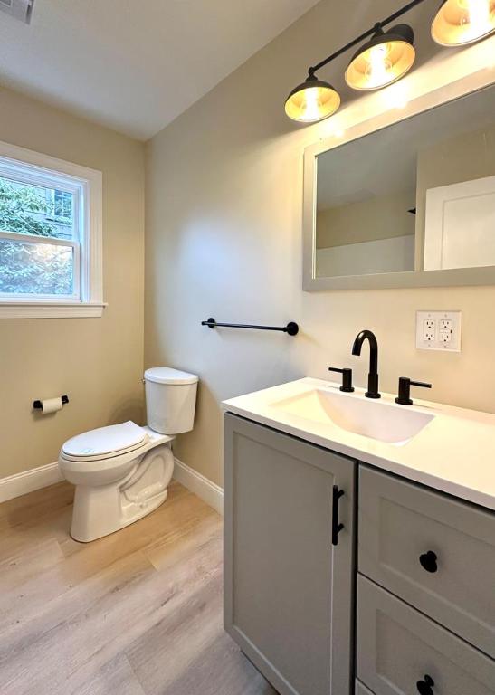 bathroom with vanity, wood-type flooring, and toilet