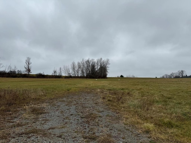 view of local wilderness featuring a rural view