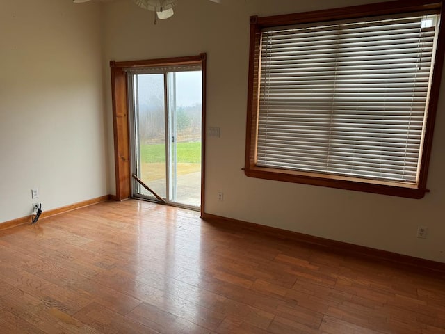 spare room featuring light hardwood / wood-style flooring and ceiling fan