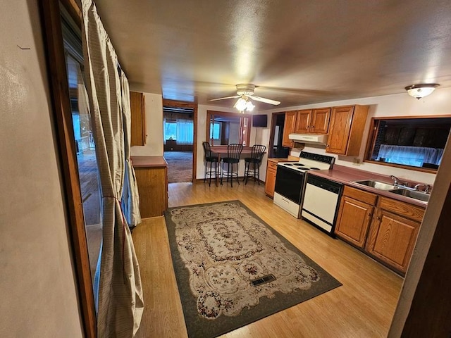 kitchen featuring ceiling fan, white appliances, light hardwood / wood-style floors, and sink