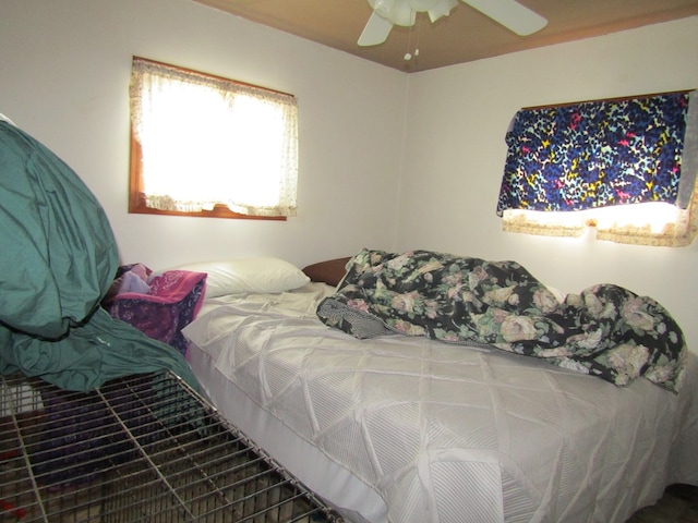 bedroom with ceiling fan