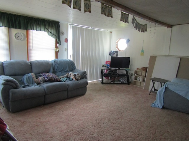 living room with carpet