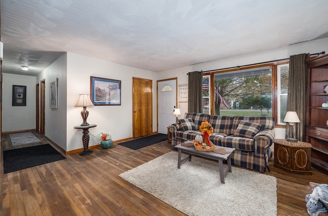 living room with dark hardwood / wood-style flooring