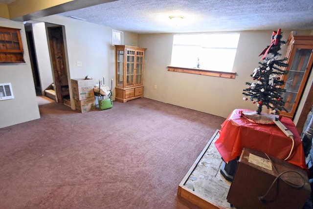 miscellaneous room featuring carpet and a textured ceiling