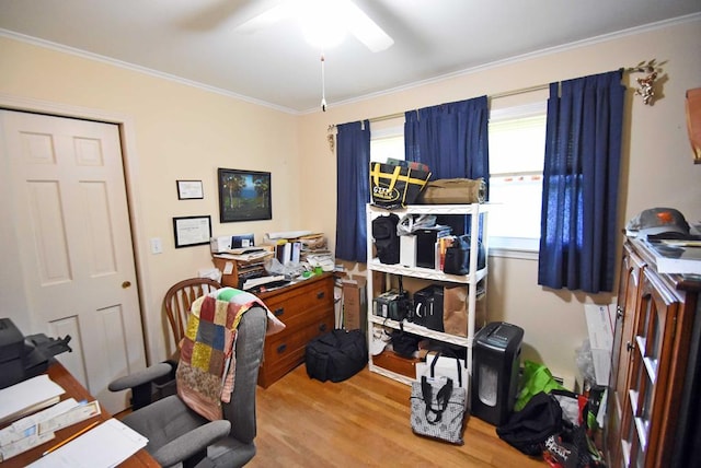 office with hardwood / wood-style flooring and ornamental molding