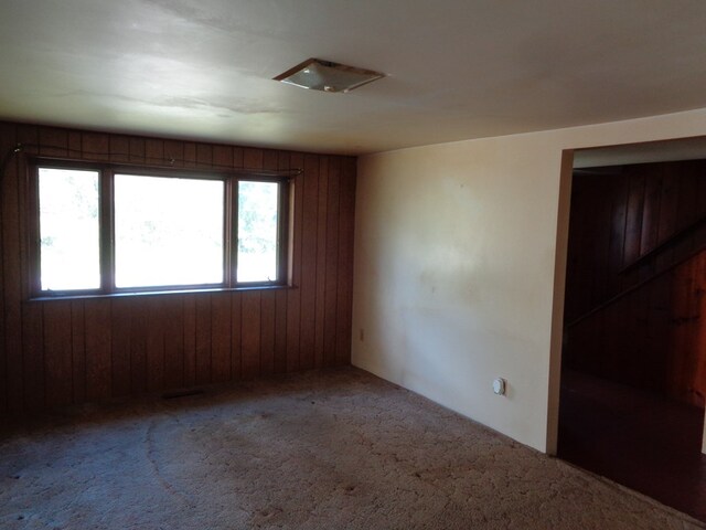 unfurnished room featuring plenty of natural light, carpet, and wood walls