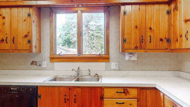 kitchen with black dishwasher and sink