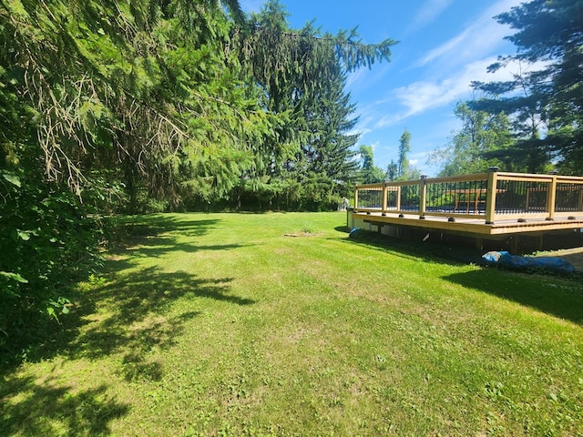 view of yard featuring a wooden deck