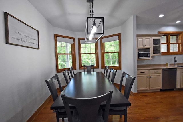 dining space featuring dark wood-type flooring and sink