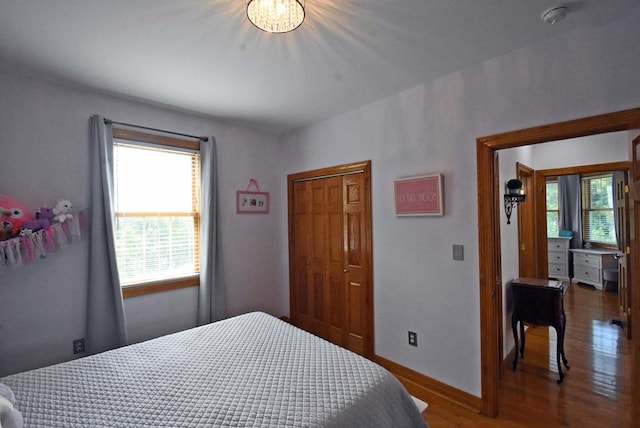 bedroom with multiple windows, dark hardwood / wood-style floors, and a closet