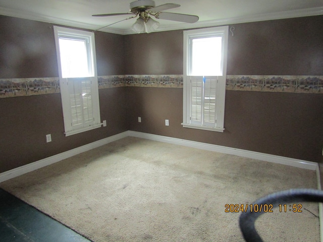 empty room with ornamental molding, carpet flooring, and ceiling fan