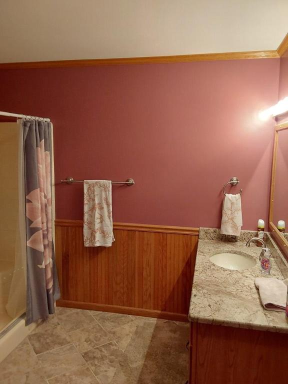 bathroom featuring vanity, wooden walls, and curtained shower