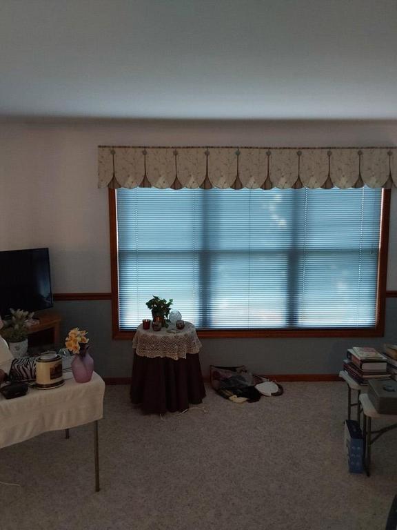 living room featuring carpet and a wealth of natural light