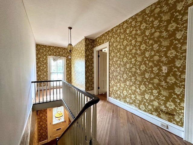 hallway with hardwood / wood-style flooring