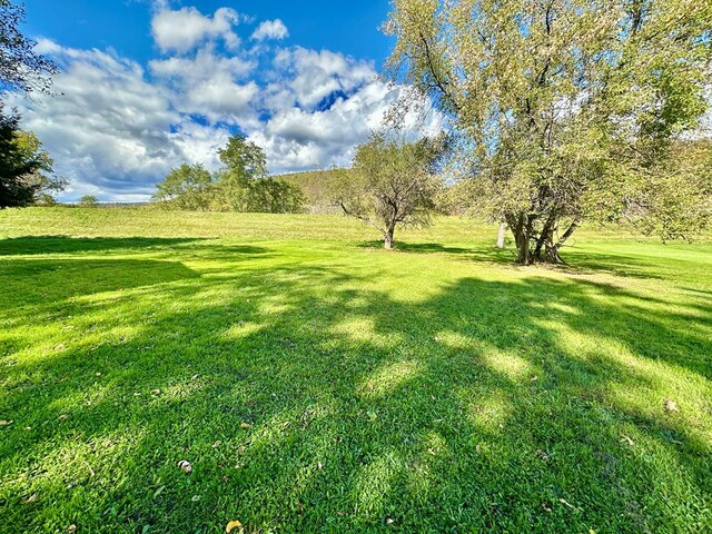 view of yard featuring a rural view