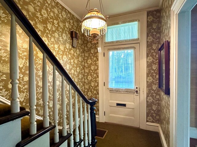 doorway featuring crown molding and carpet floors