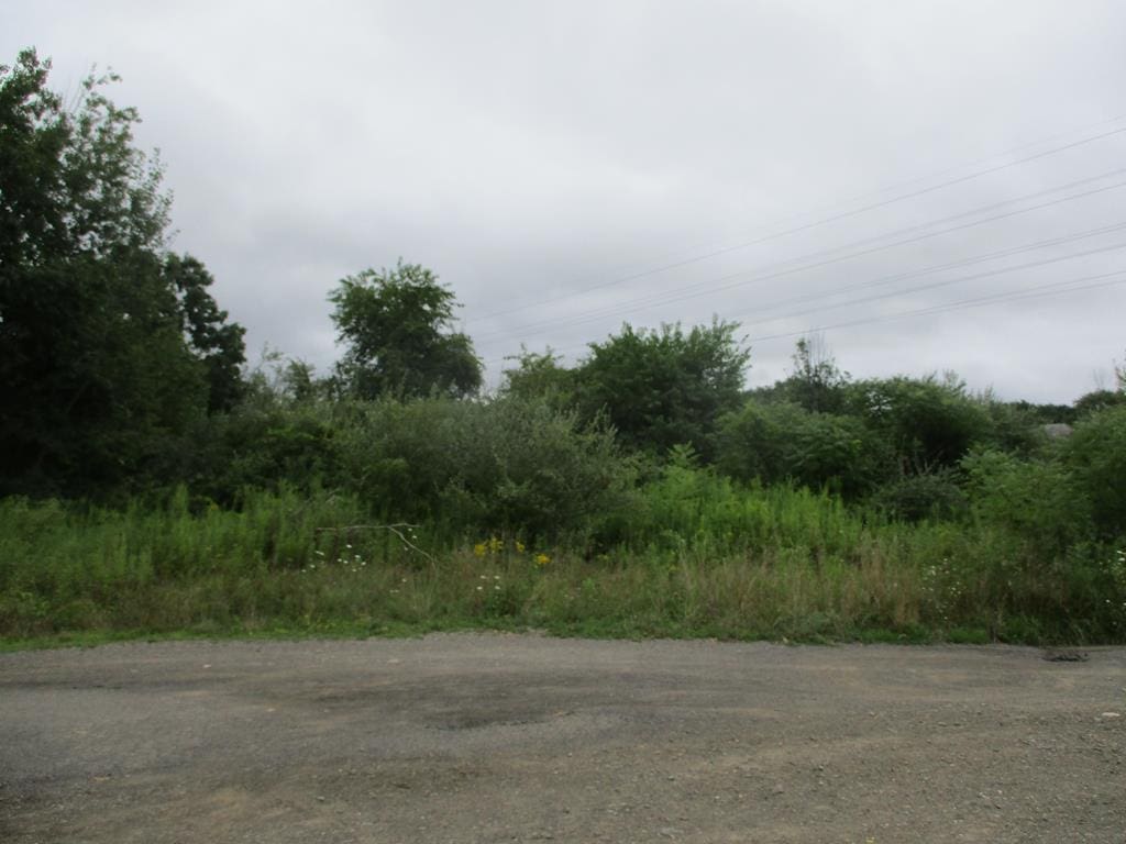 130 Chestnut Dr, Horseheads, NY 14845 - photo 1