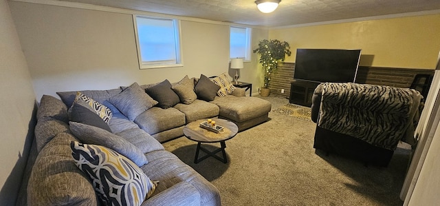 carpeted living room featuring crown molding and a textured ceiling