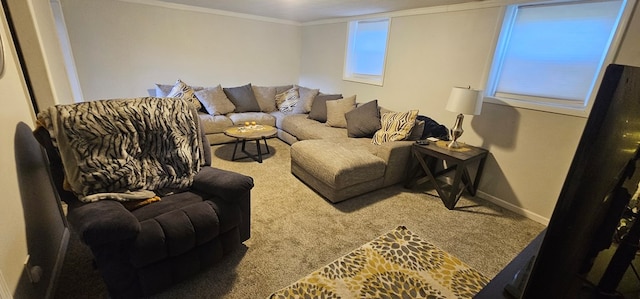 carpeted living room with crown molding