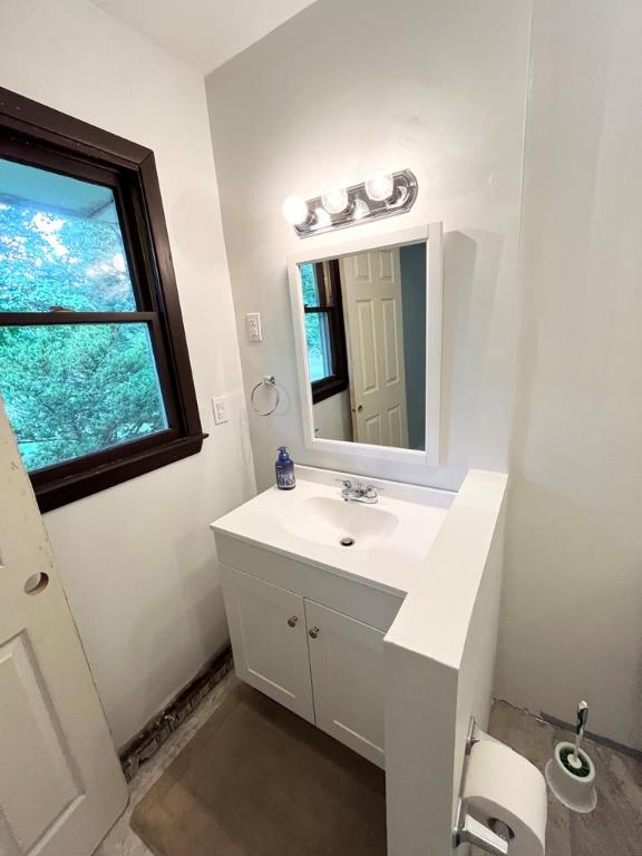 bathroom featuring vanity and a wealth of natural light