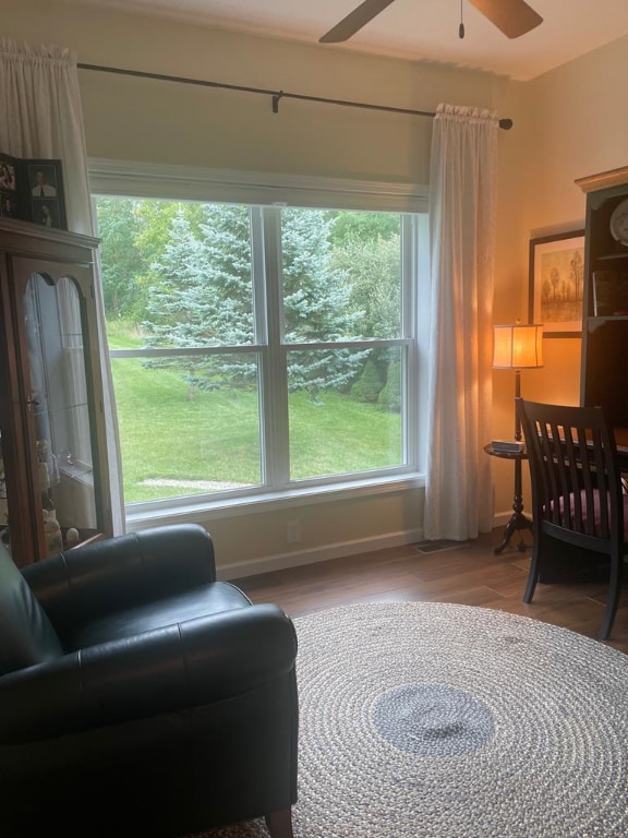 living area with ceiling fan, plenty of natural light, and light wood-type flooring