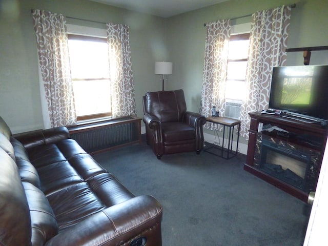 living room featuring carpet flooring