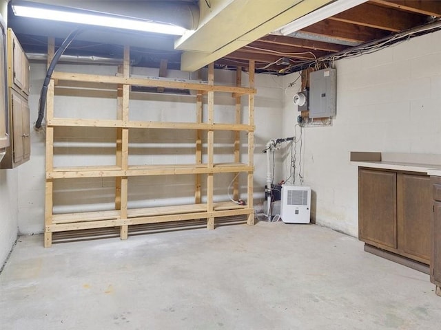 basement with electric panel