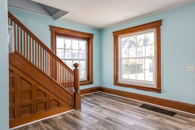 entryway featuring hardwood / wood-style flooring and a healthy amount of sunlight