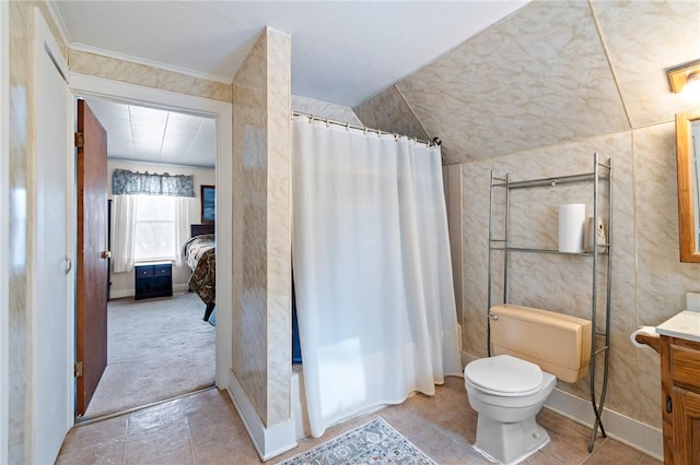 bathroom featuring vanity, vaulted ceiling, curtained shower, and toilet