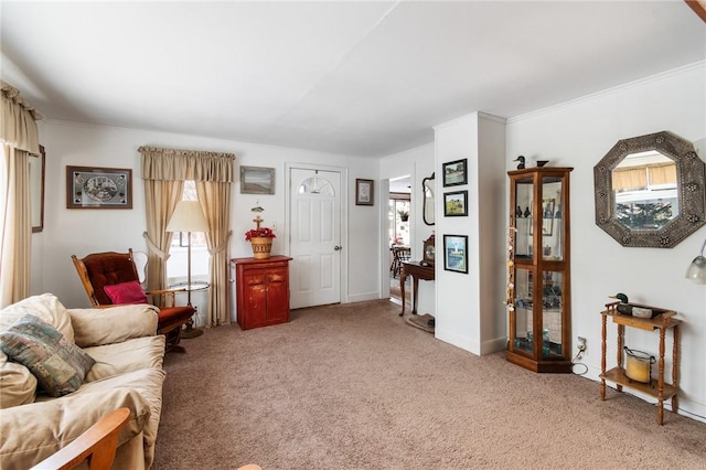 living room with carpet floors