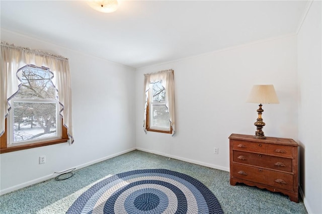 bedroom with carpet flooring