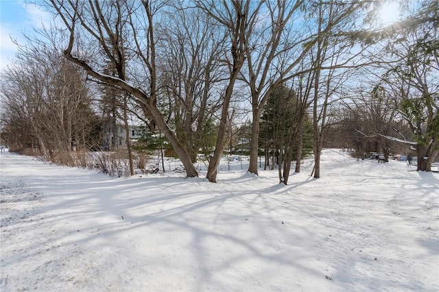 view of snowy yard