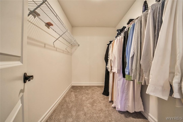 spacious closet featuring light carpet