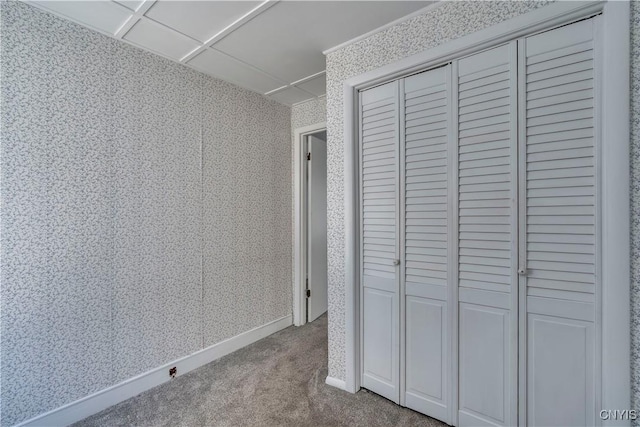 unfurnished bedroom with a drop ceiling, a closet, and carpet